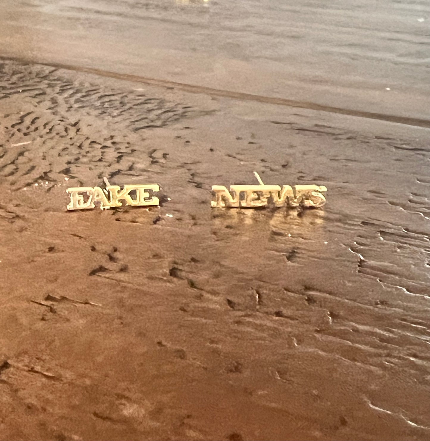 Fake News Stud Earrings