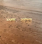 Fake News Stud Earrings