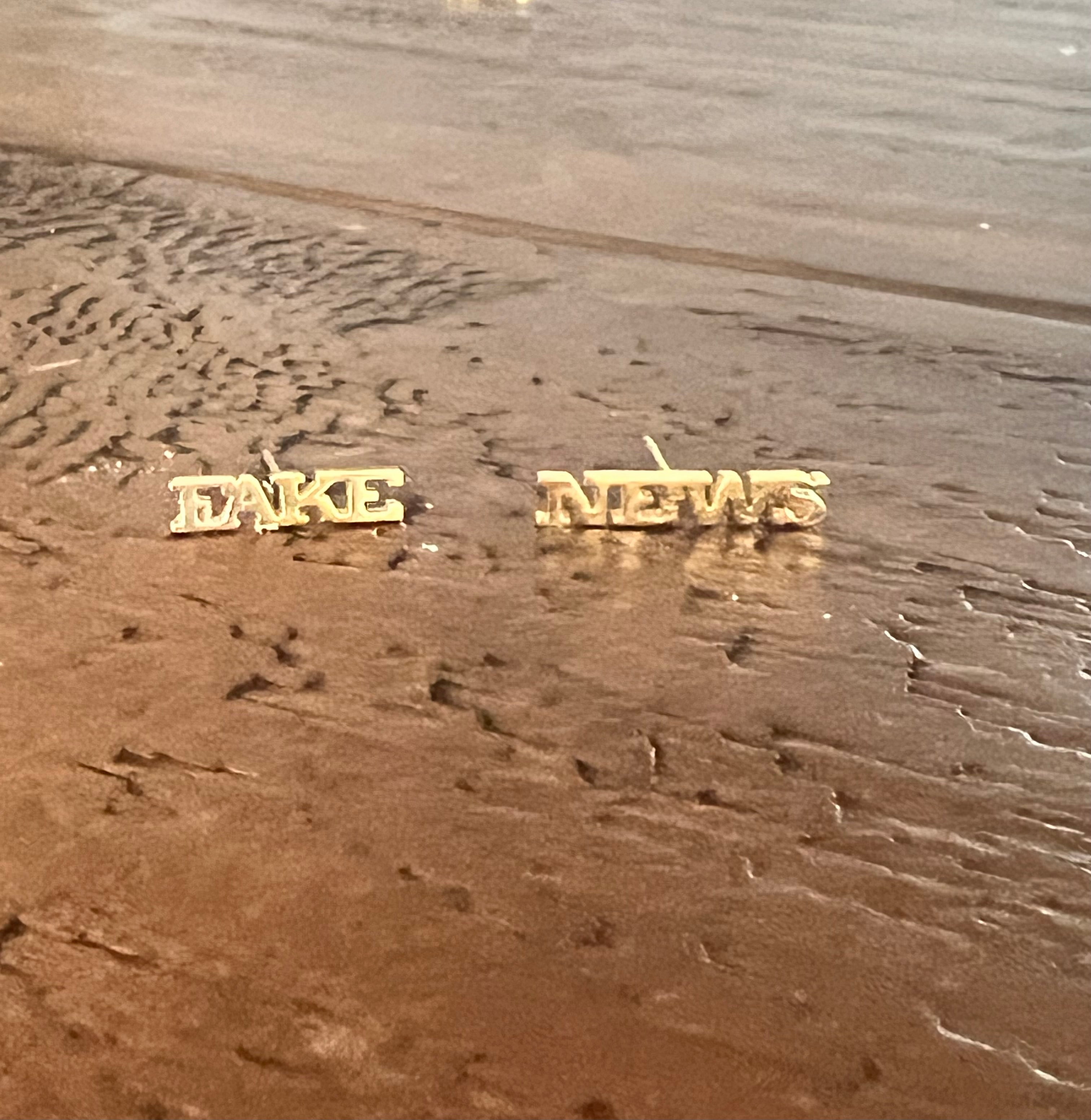 Fake News Stud Earrings